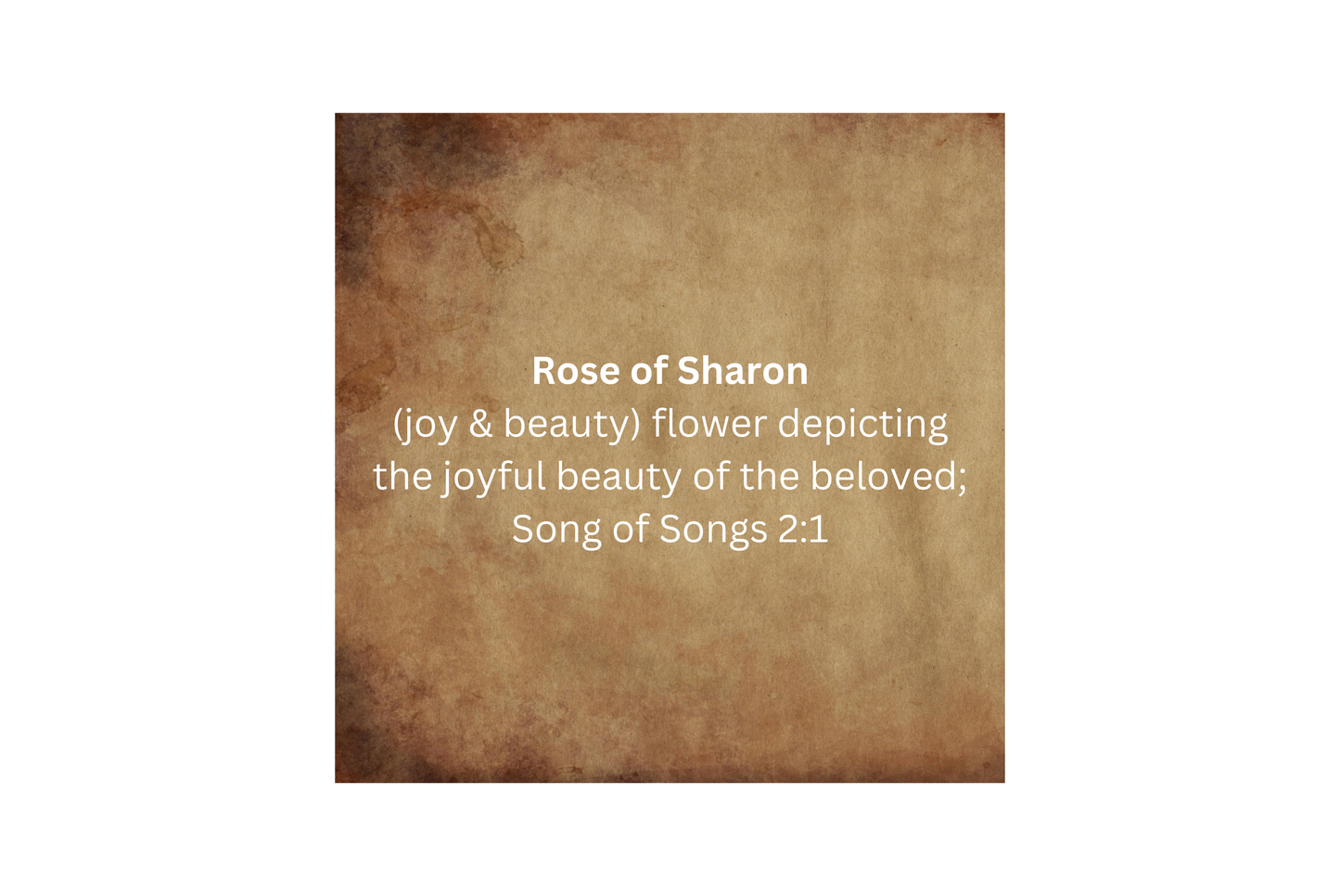 Rose Prayer Oil