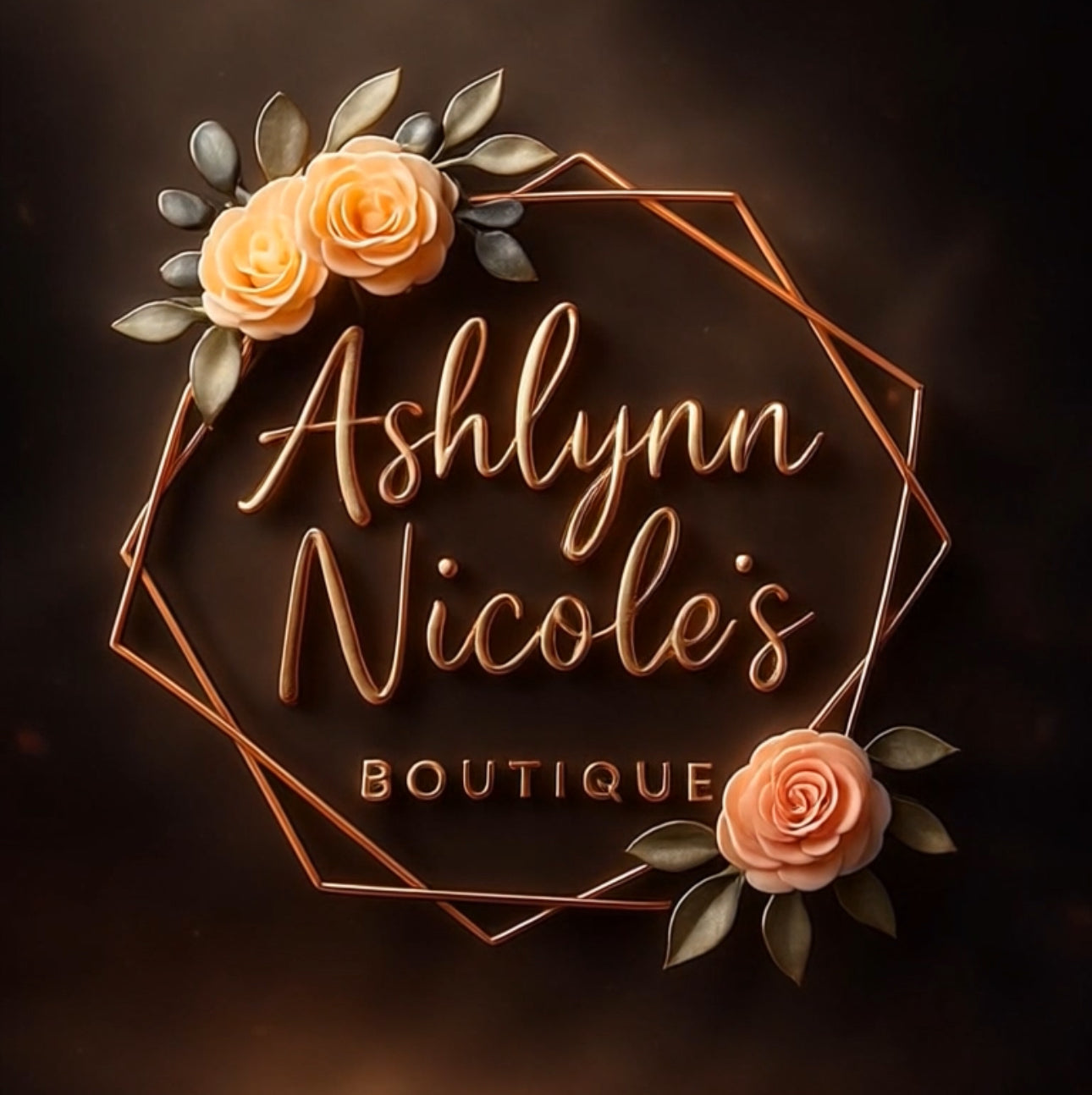 Ashlynn Nicole's Boutique logo