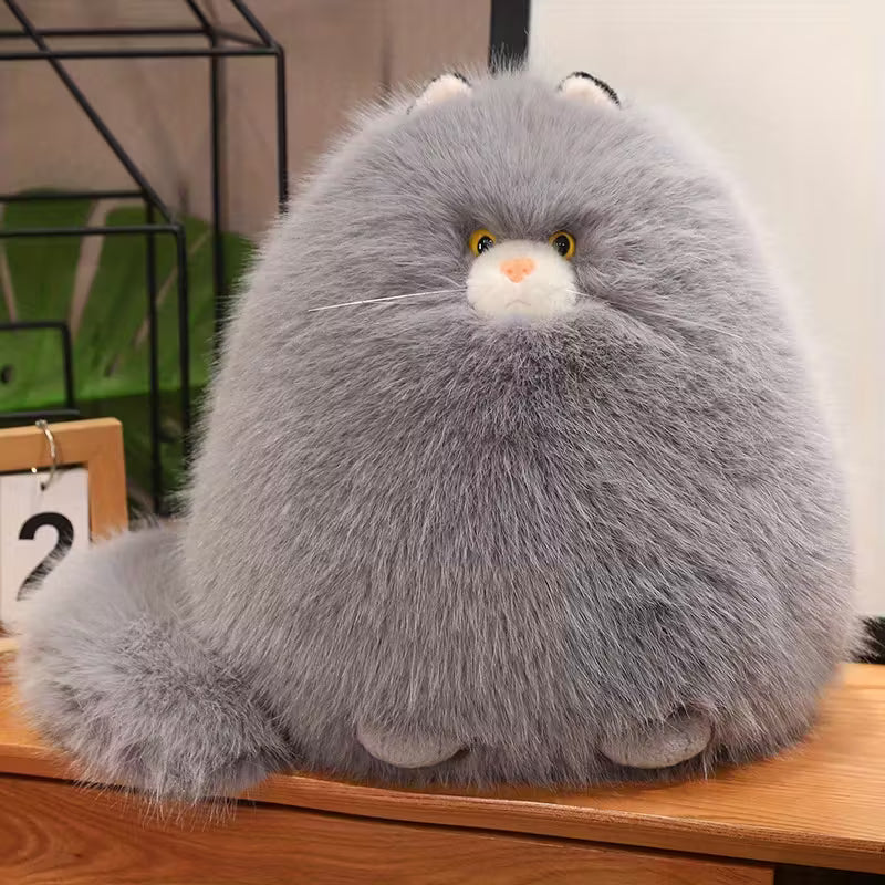 Fluffy Cat