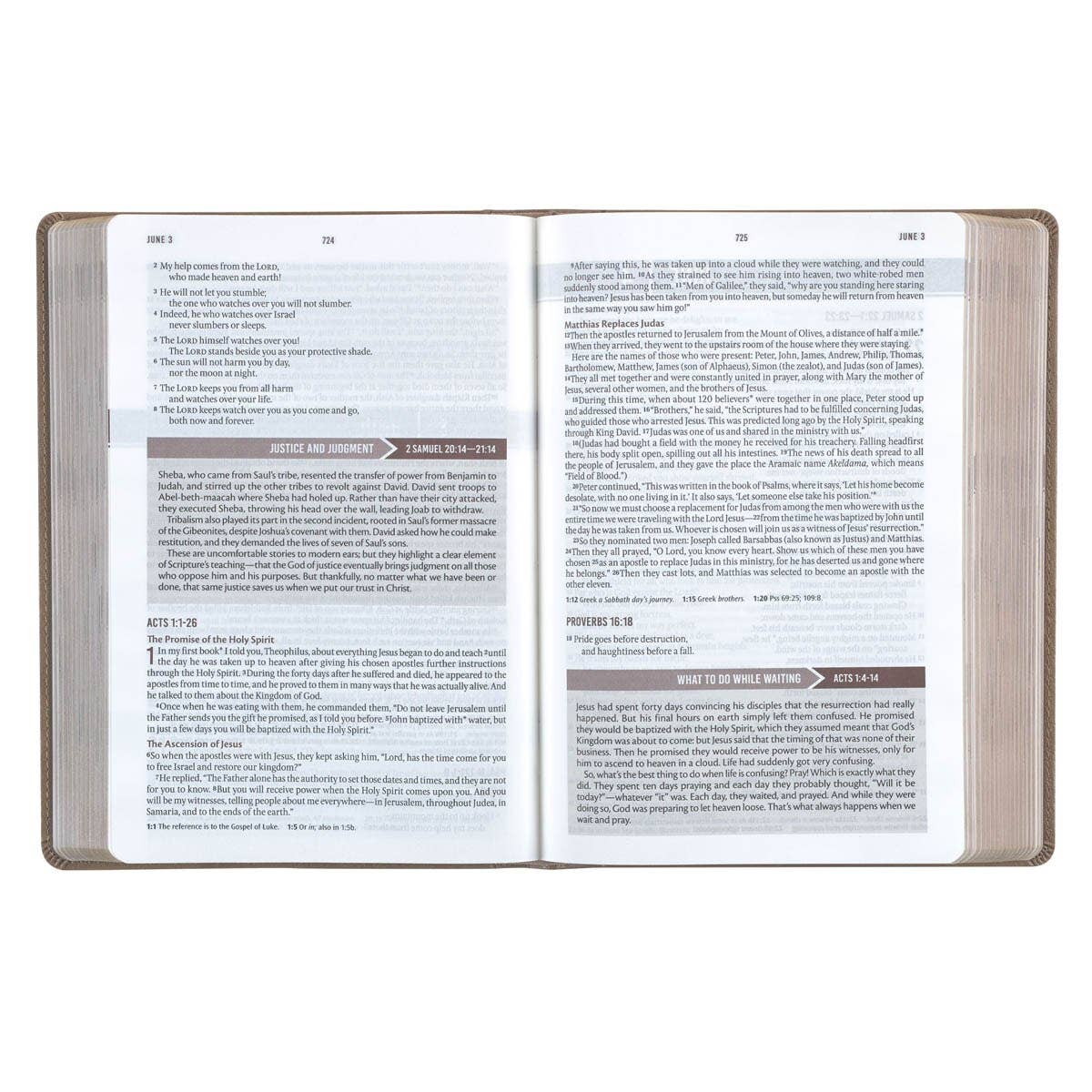 Devotional Bible NLT for Men Faux Leather, Tan