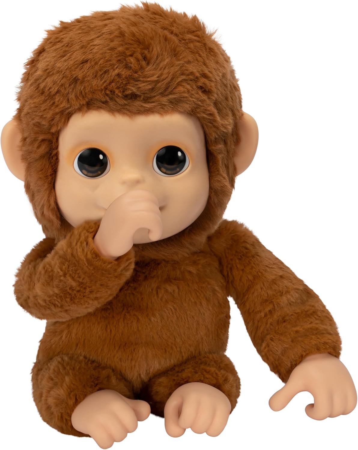 Baby Monkey