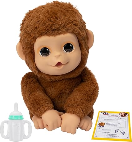 Baby Monkey