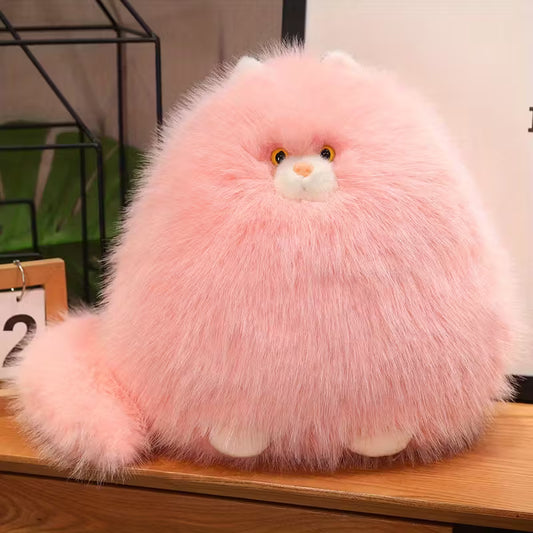 Fluffy Cat