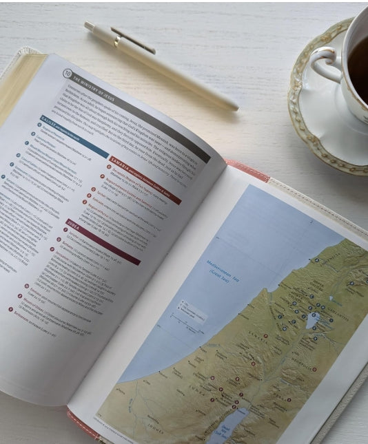 NLT Wide Margin Bible